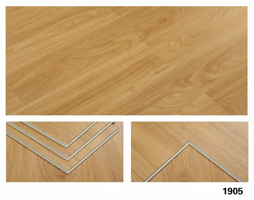 mmexport1733125982905 mmexport1733125982905