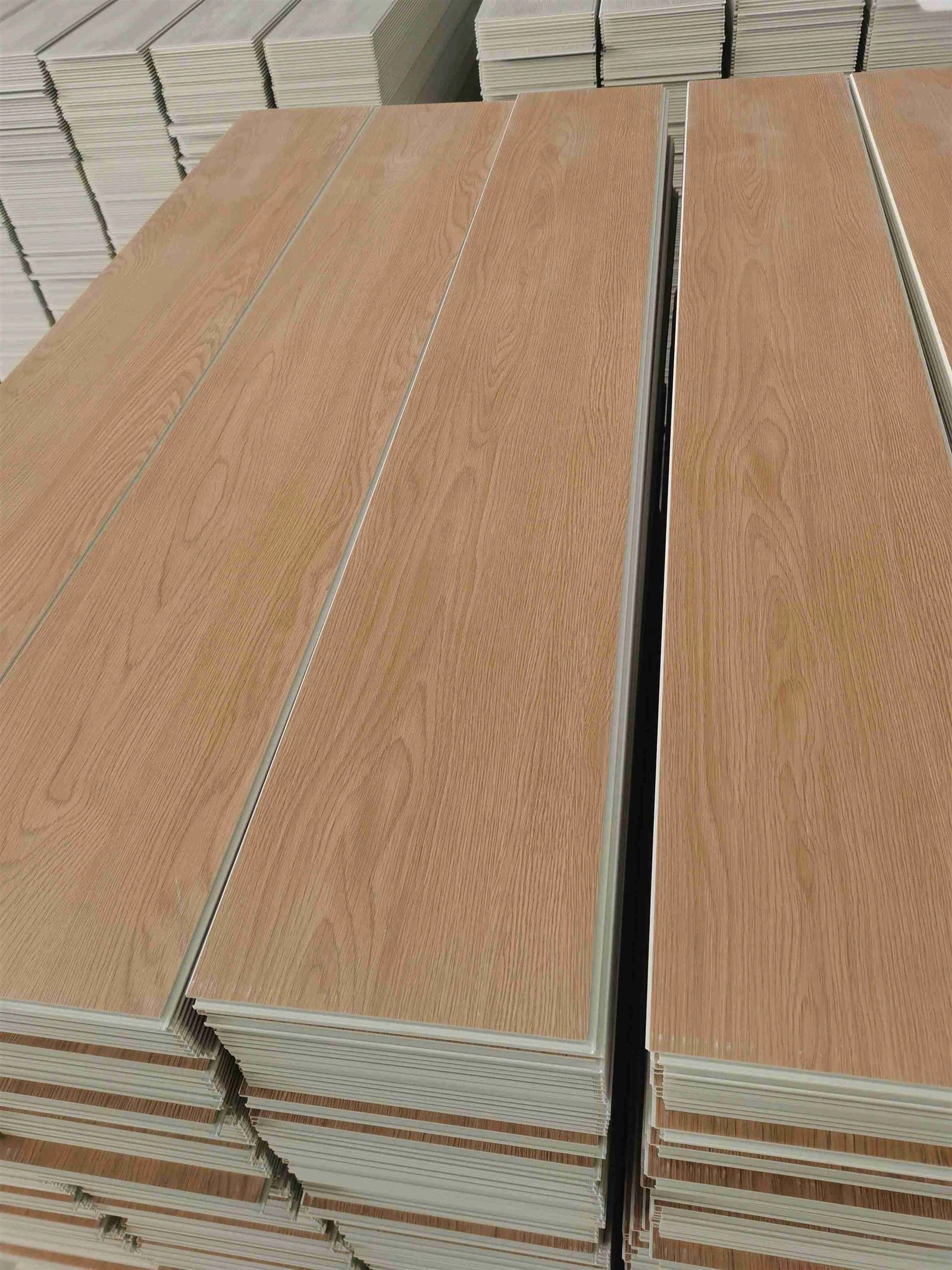 IMG20241202095720 IMG20241202095720